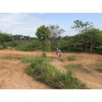 M2R Racing 90R 90cc Motorbike 10/10 62cm Semi-Auto Mini Pit Bike - Image 5