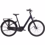 District+ 1 Lowstep 2026 Electric Hybrid Bike - Image 2