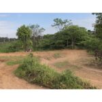 M2R Racing KX110F 110cc 14/12 76cm Grey Pit Bike 2025 Model - Image 18